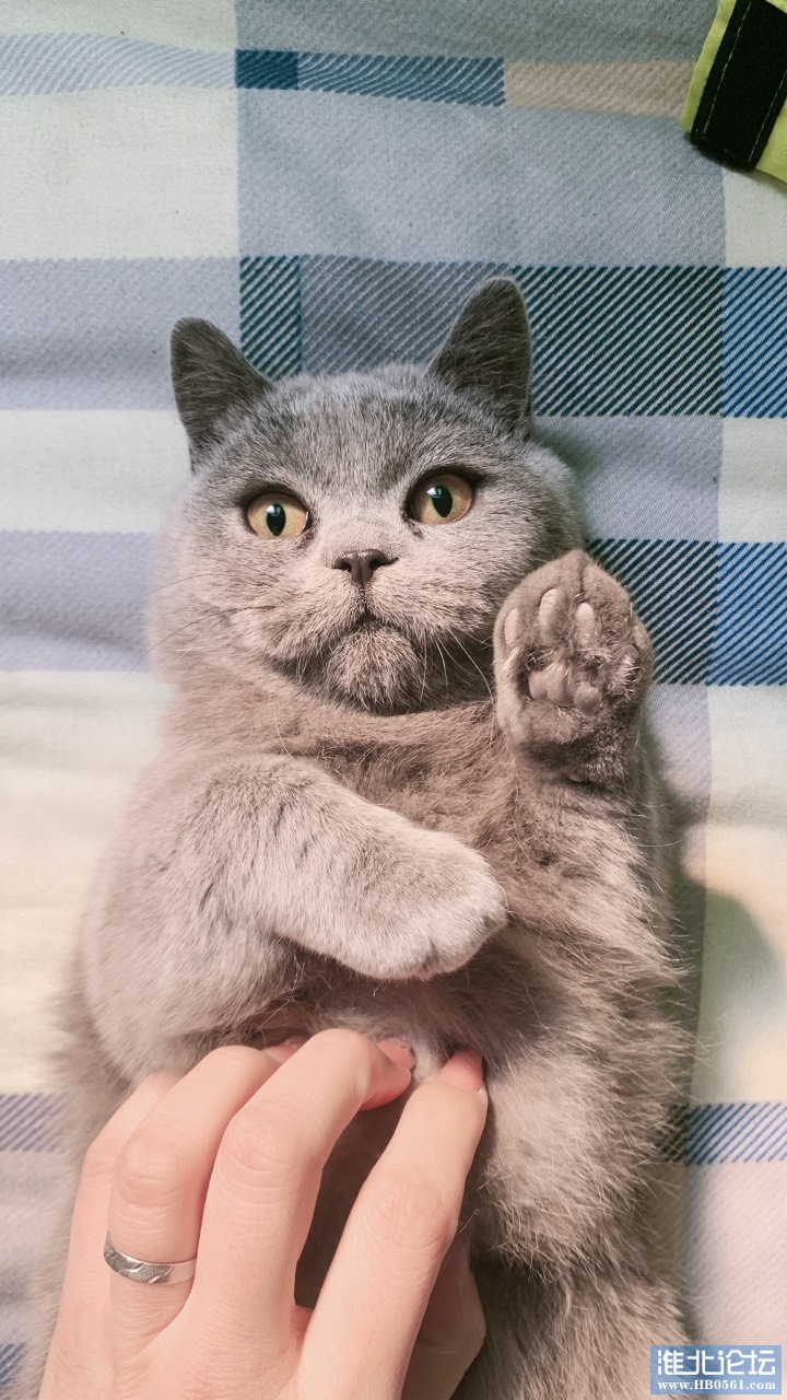 233631fvlsepkzj7jkhprj.jpg