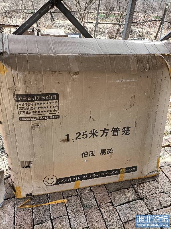 122703skll9u72hzxlsyyu.jpg