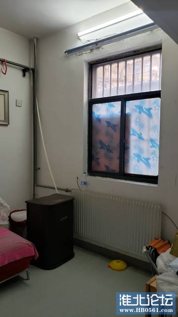 165253umqnmoonhzqklvkn.jpg