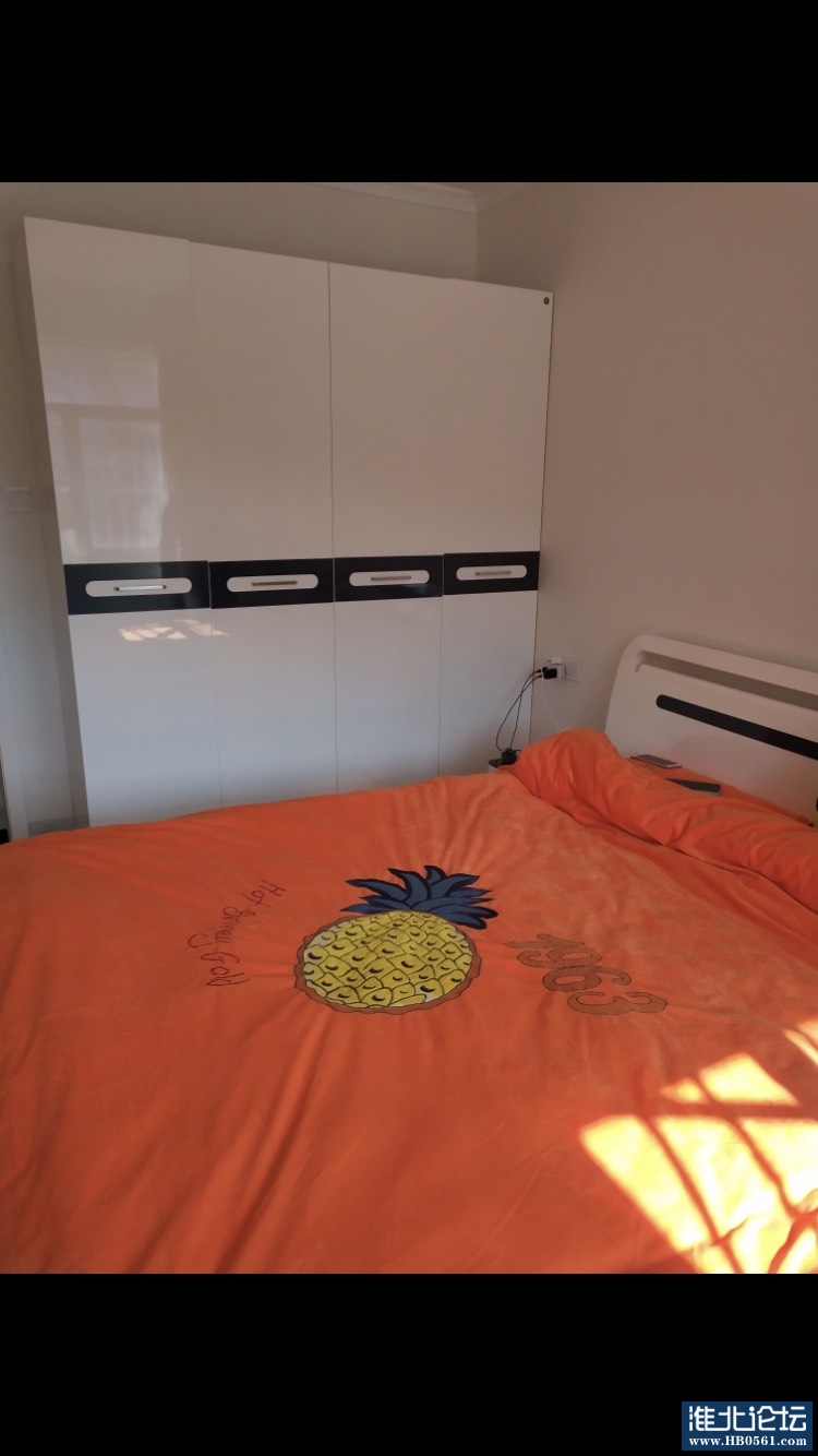 185156nfu8lu6lcf8pltuf.jpg