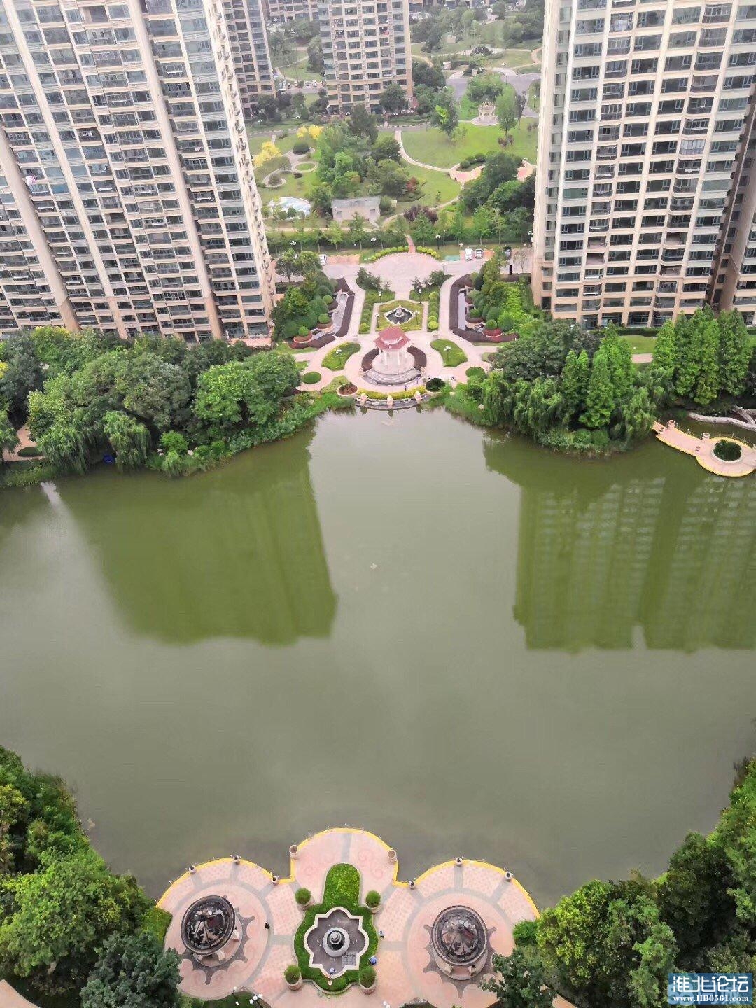 小区景色 (2).JPG