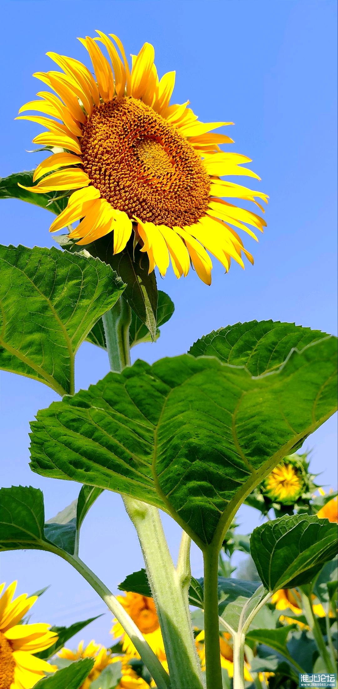 1654665561197_IMG_20220608_130227.jpg