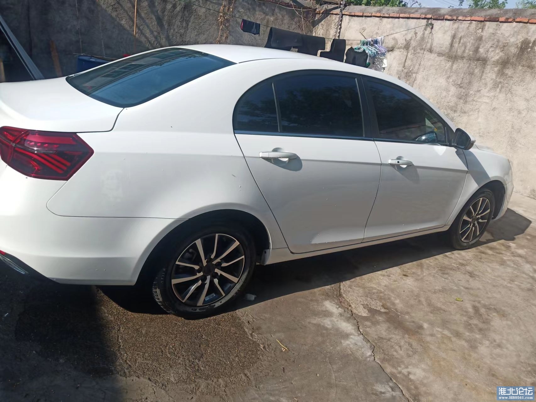 mmexport1655116205257.jpg