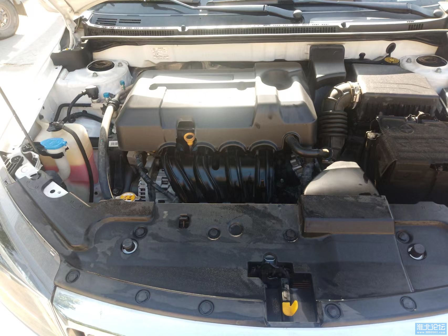 mmexport1655116205257.jpg