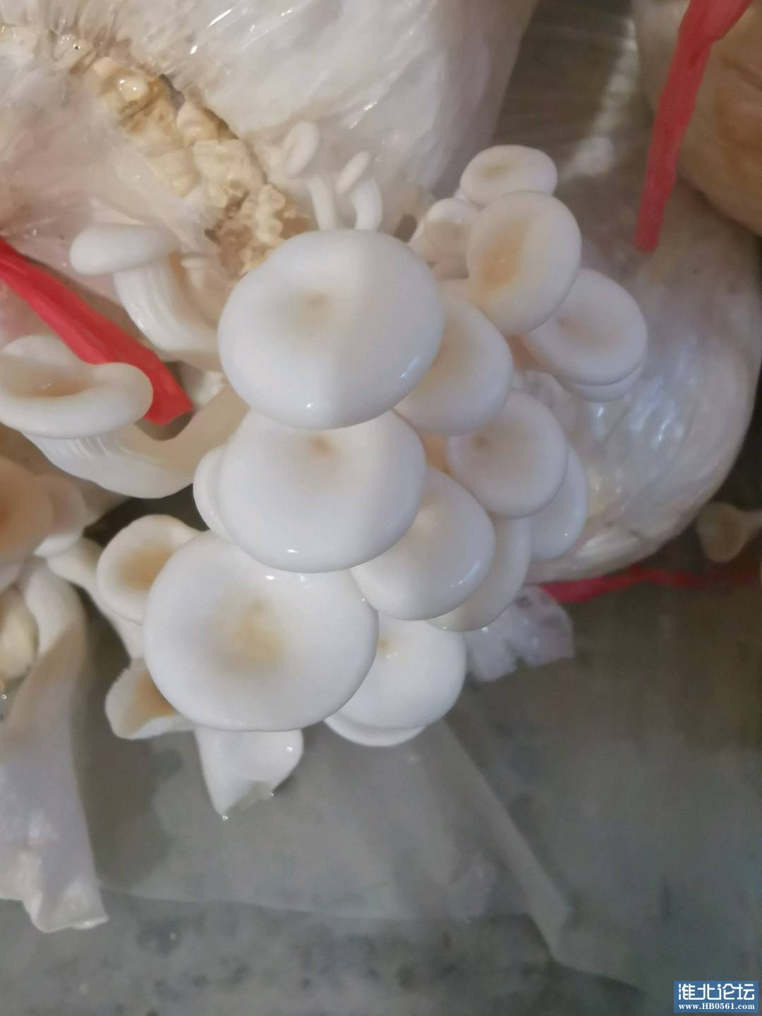 1656158624707_IMG_20220625_181617.jpg