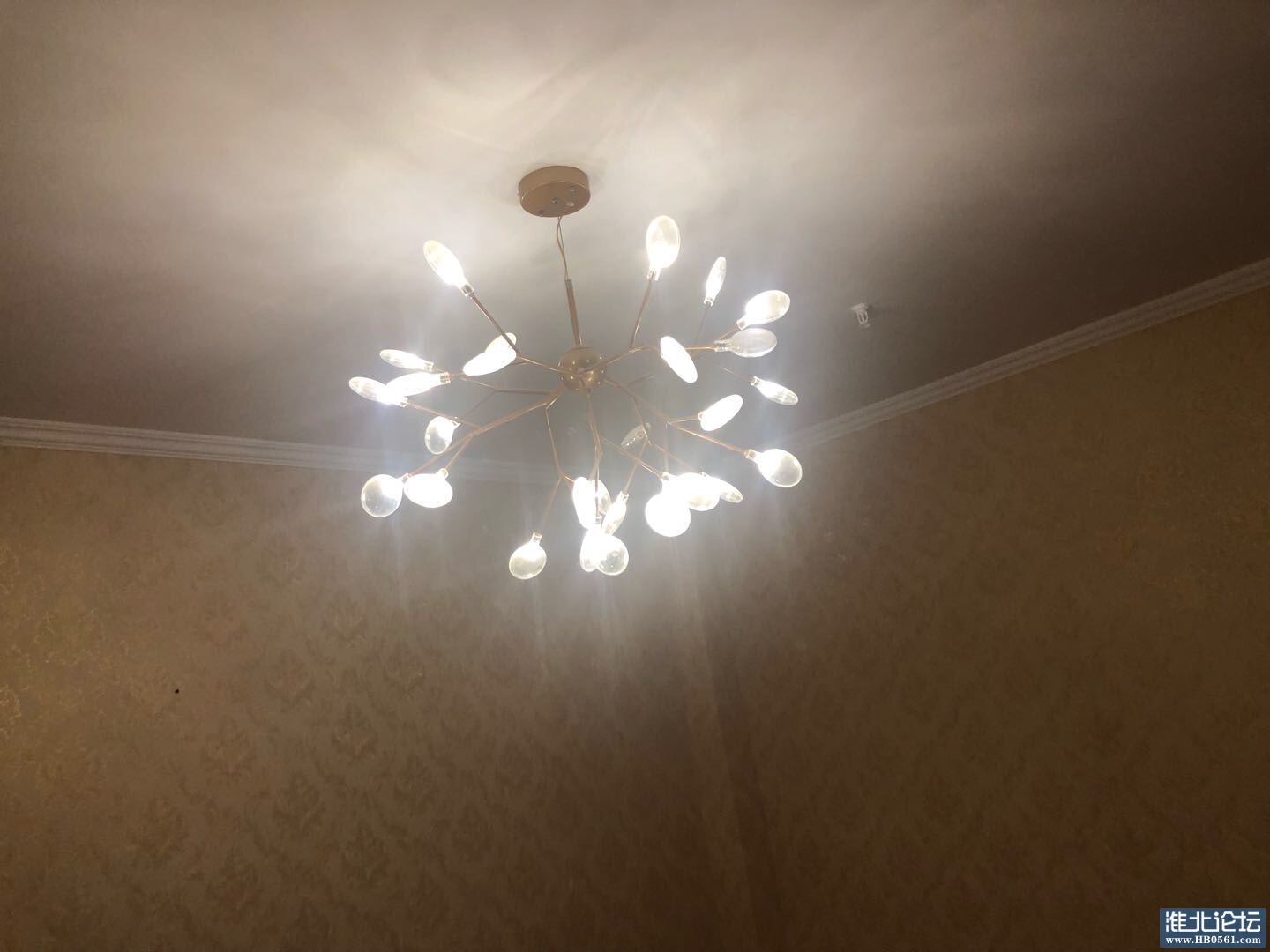 1656080640-compressed-IMG_6625.jpg