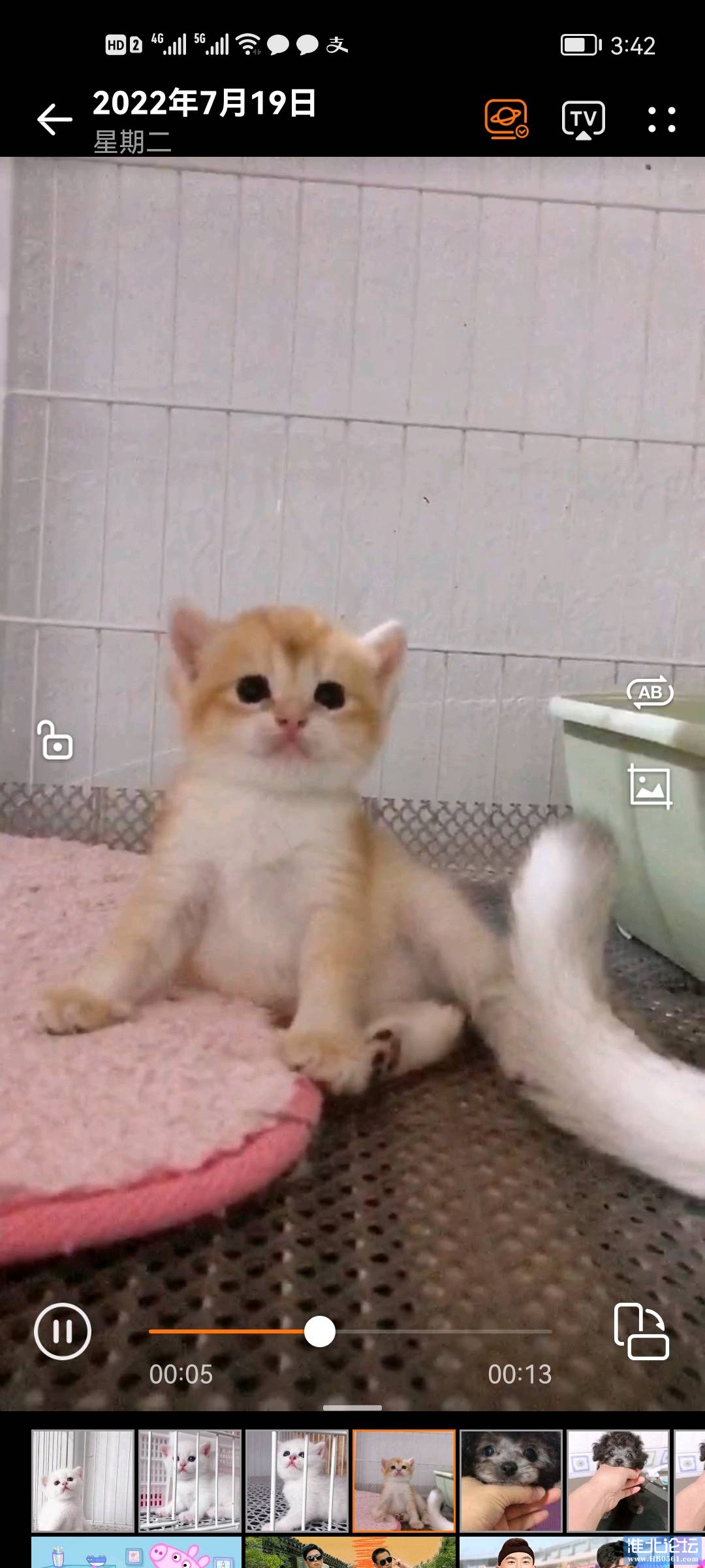1658216590963_Screenshot_20220719_154245_com.huawei.himovie.jpg