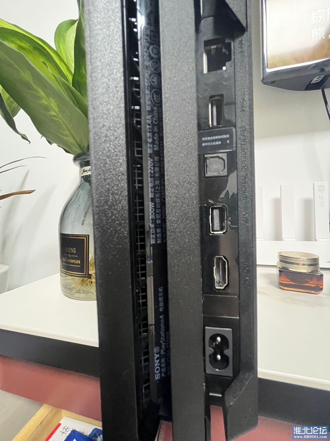 1658486301-compressed-IMG_1186.JPG