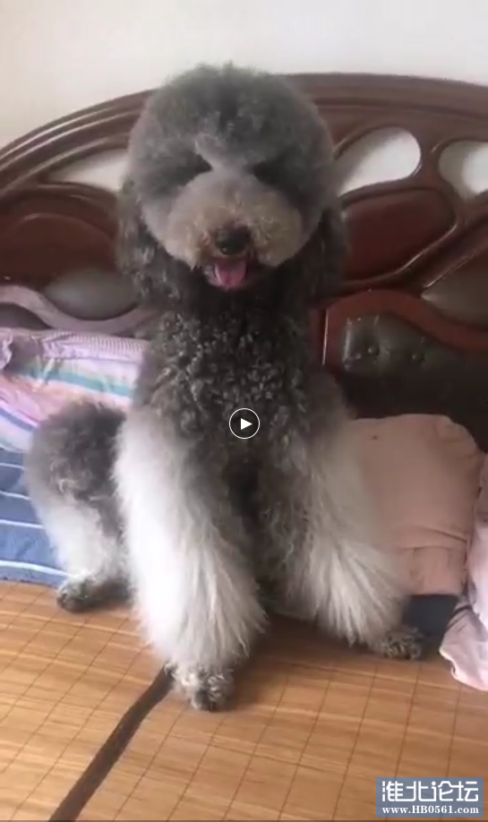 famili老公.美容后.jpg