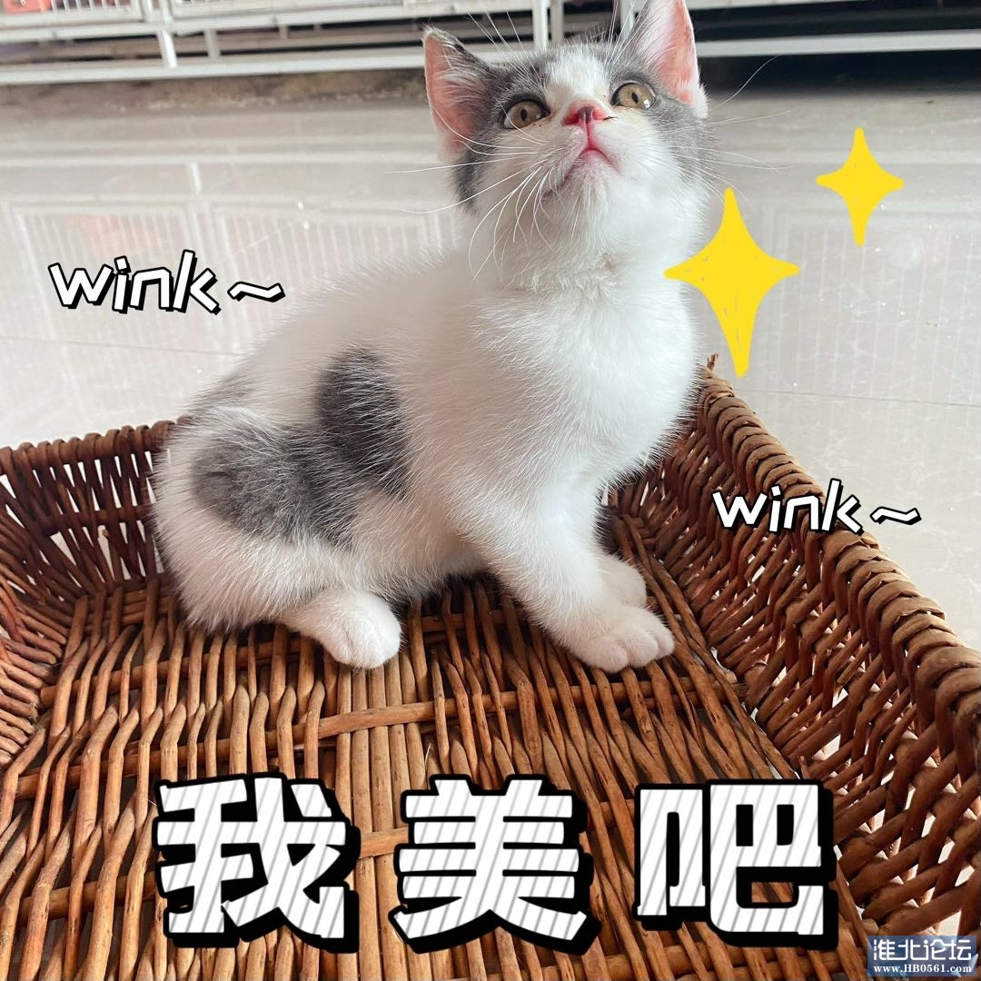 1659151354-compressed-IMG_5763.jpg
