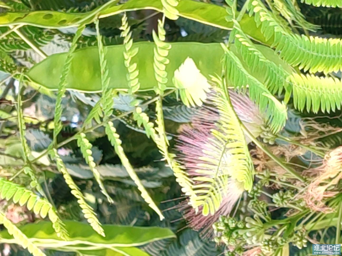 1659396982201_IMG_20220802_063847.jpg