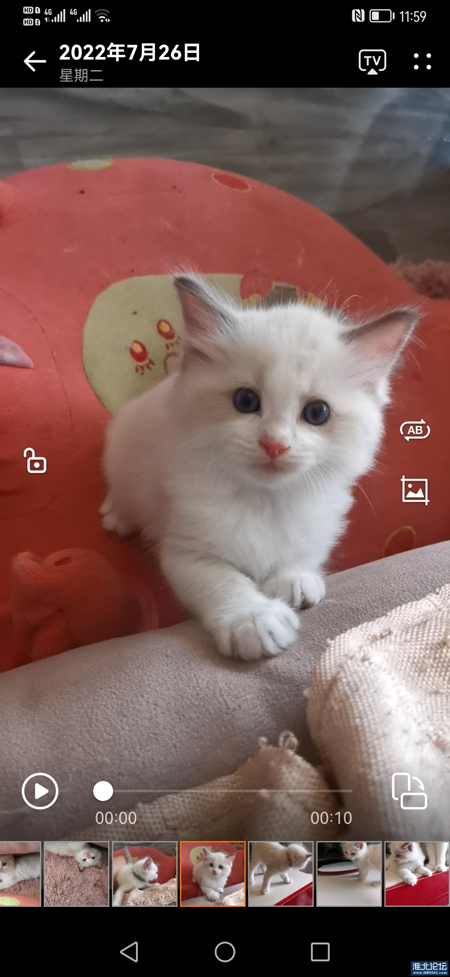 Screenshot_20220726_115939_com.huawei.himovie.jpg