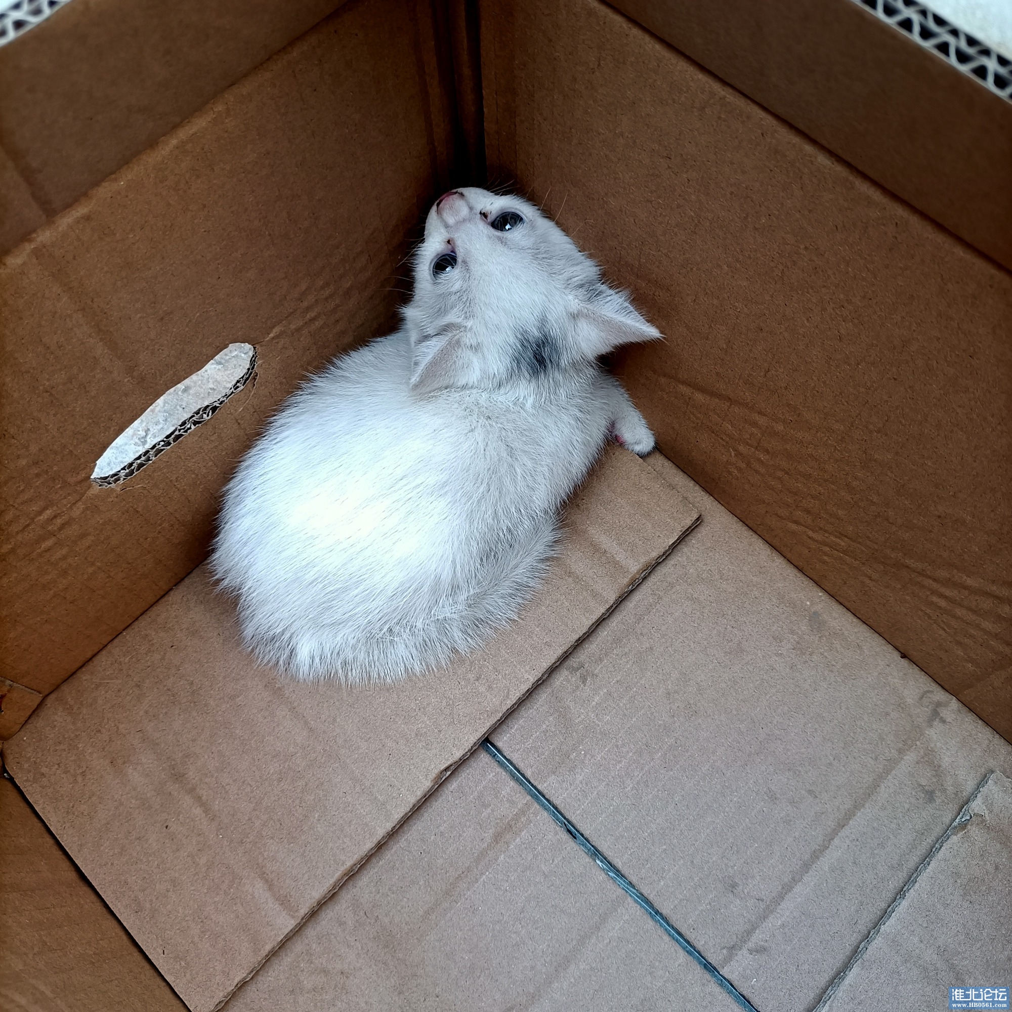 IMG20220817075541.jpg