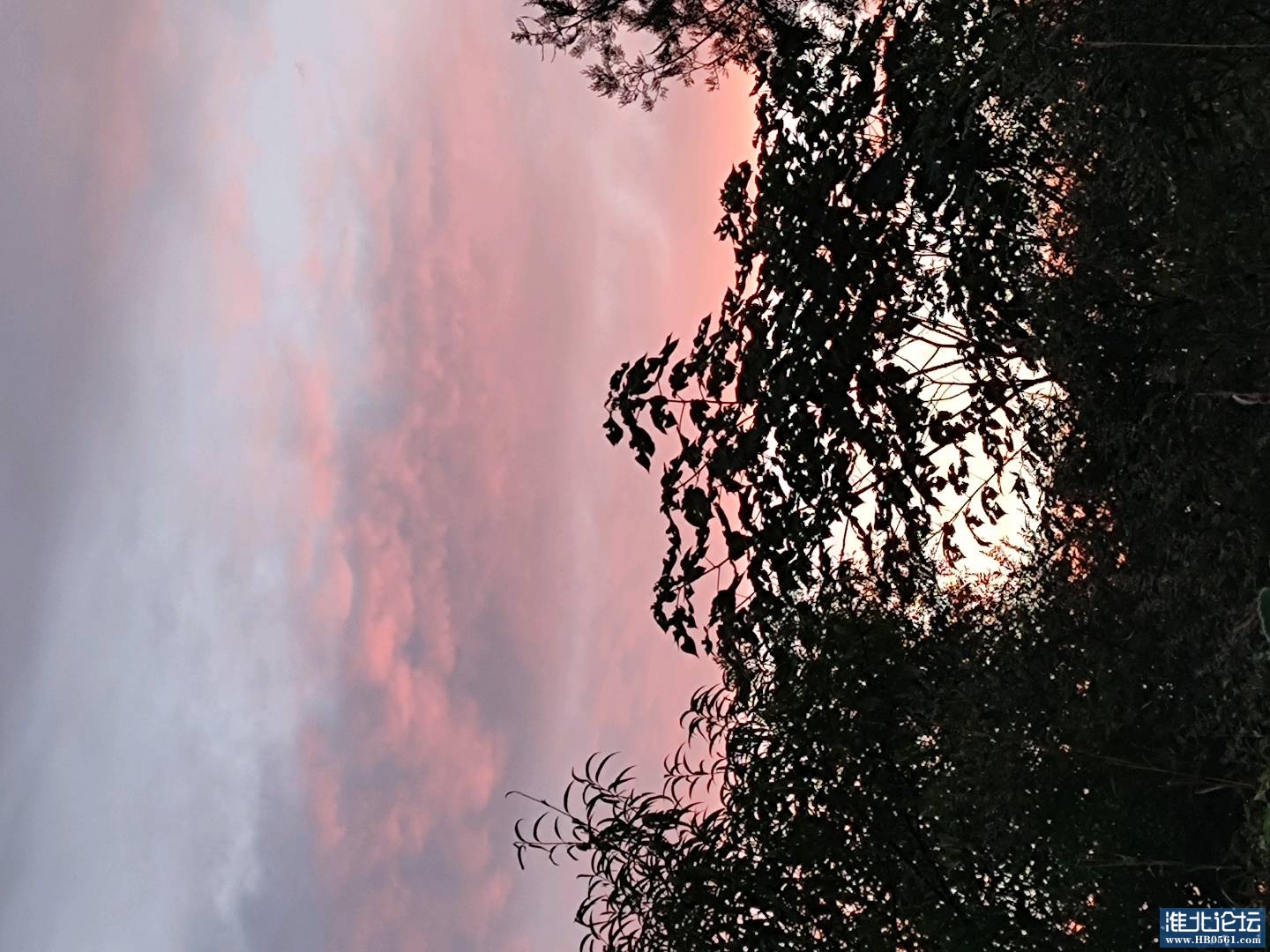 1662508905708_IMG_20220907_054134.jpg
