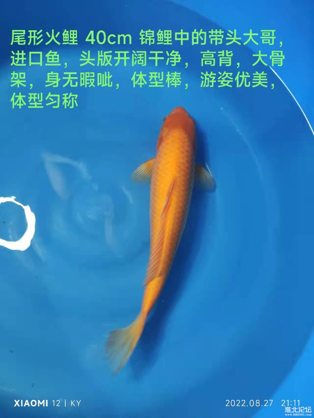 8b8994d770d9e22b364f4f2ae084c5a.jpg