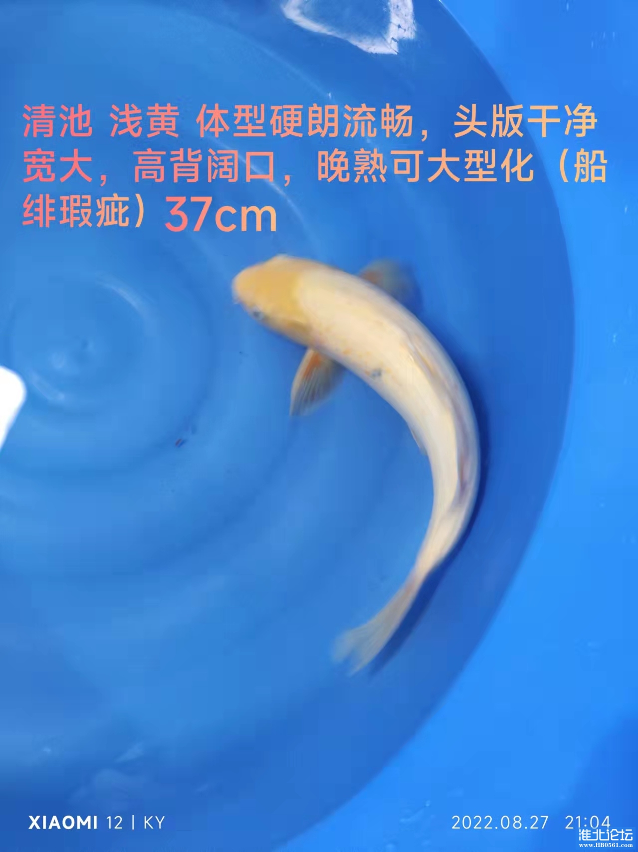 58f14cb545bc0c887110f8b066e3040.jpg