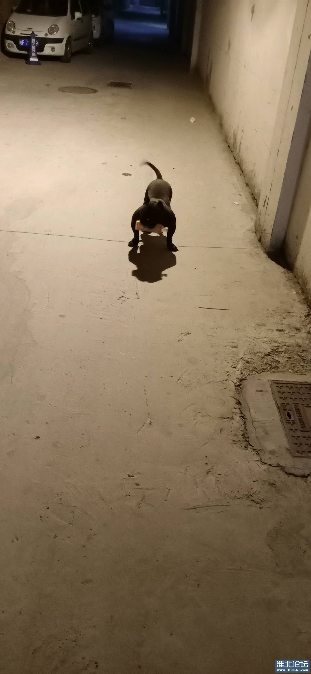 1664026723998.jpg