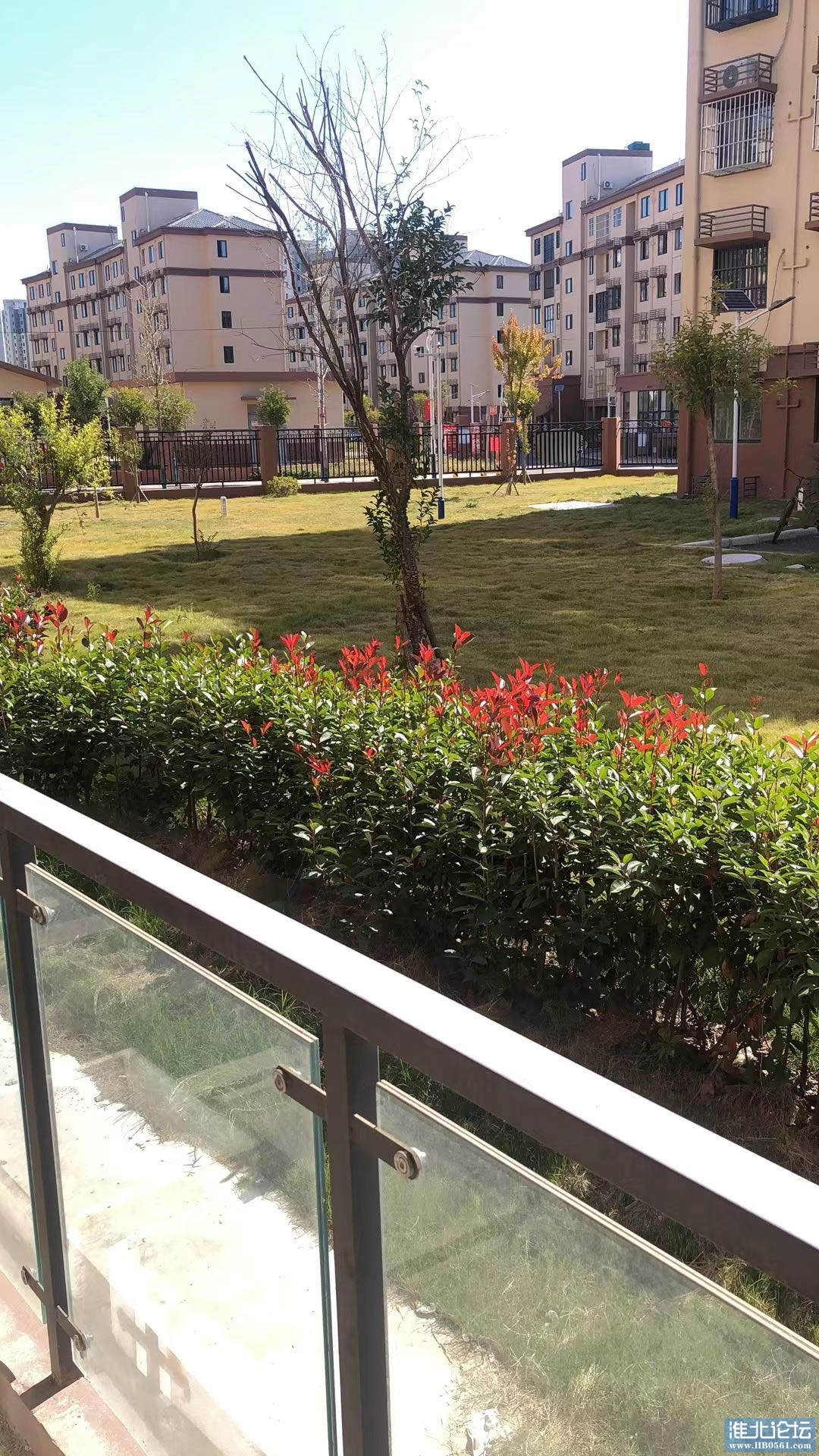 1666075651-compressed-IMG_6660.JPG