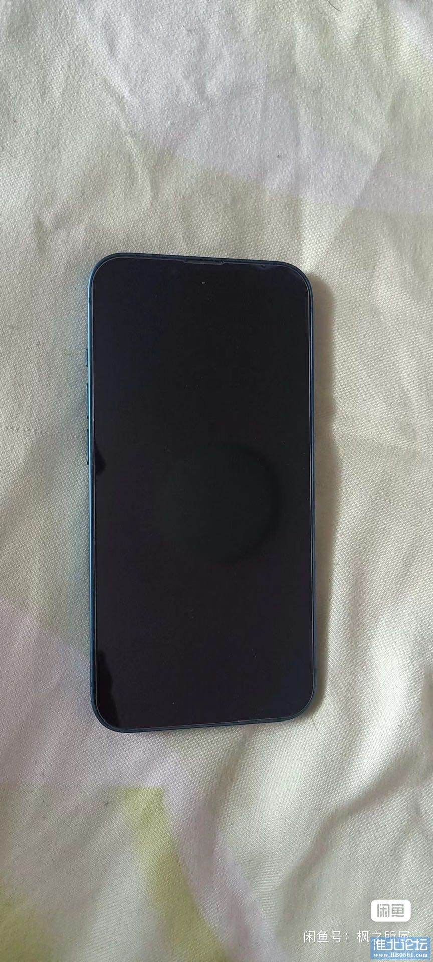 1667876245-compressed-IMG_2754.JPG