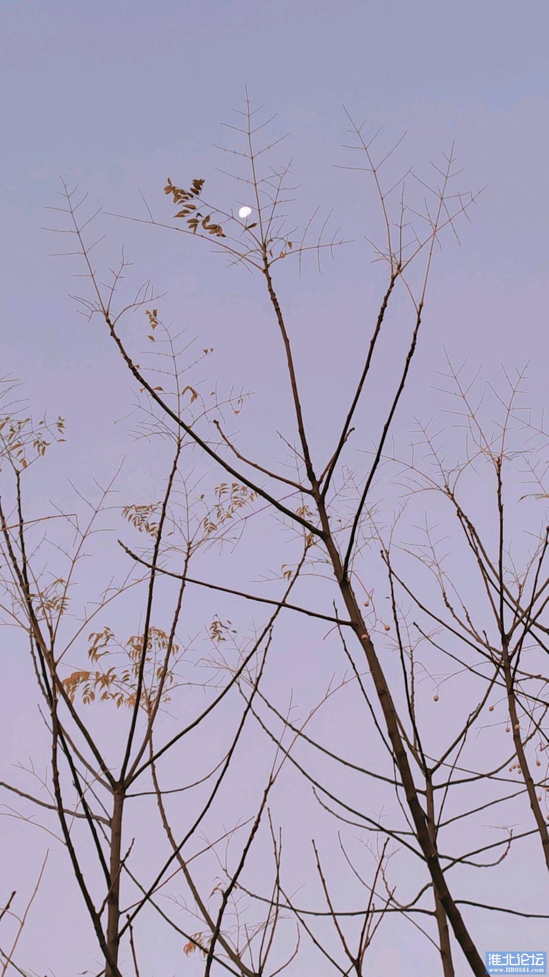 1668479333726_2022-11-14-064113202.png.jpg