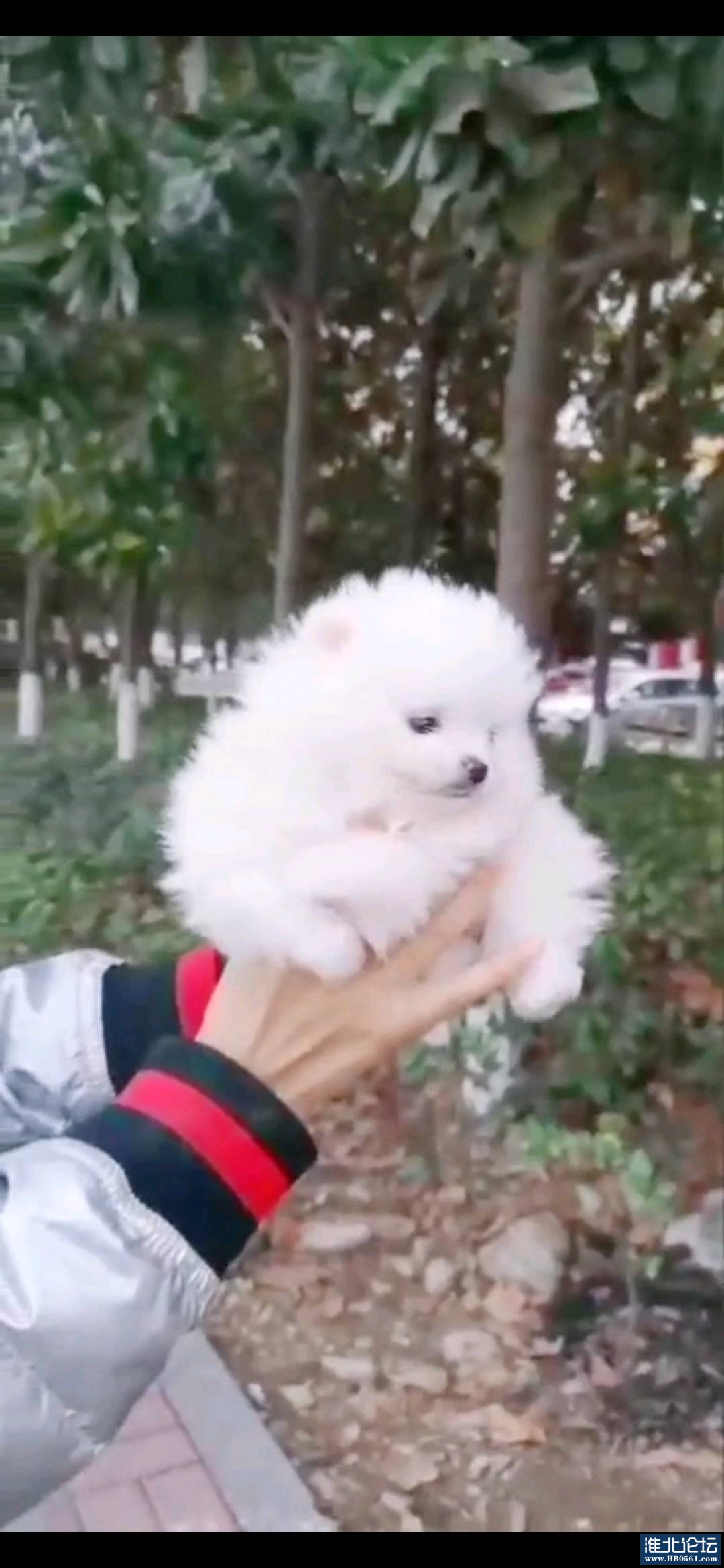 1671509991724_Screenshot_20221220_121829_com.huawei.himovie.jpg