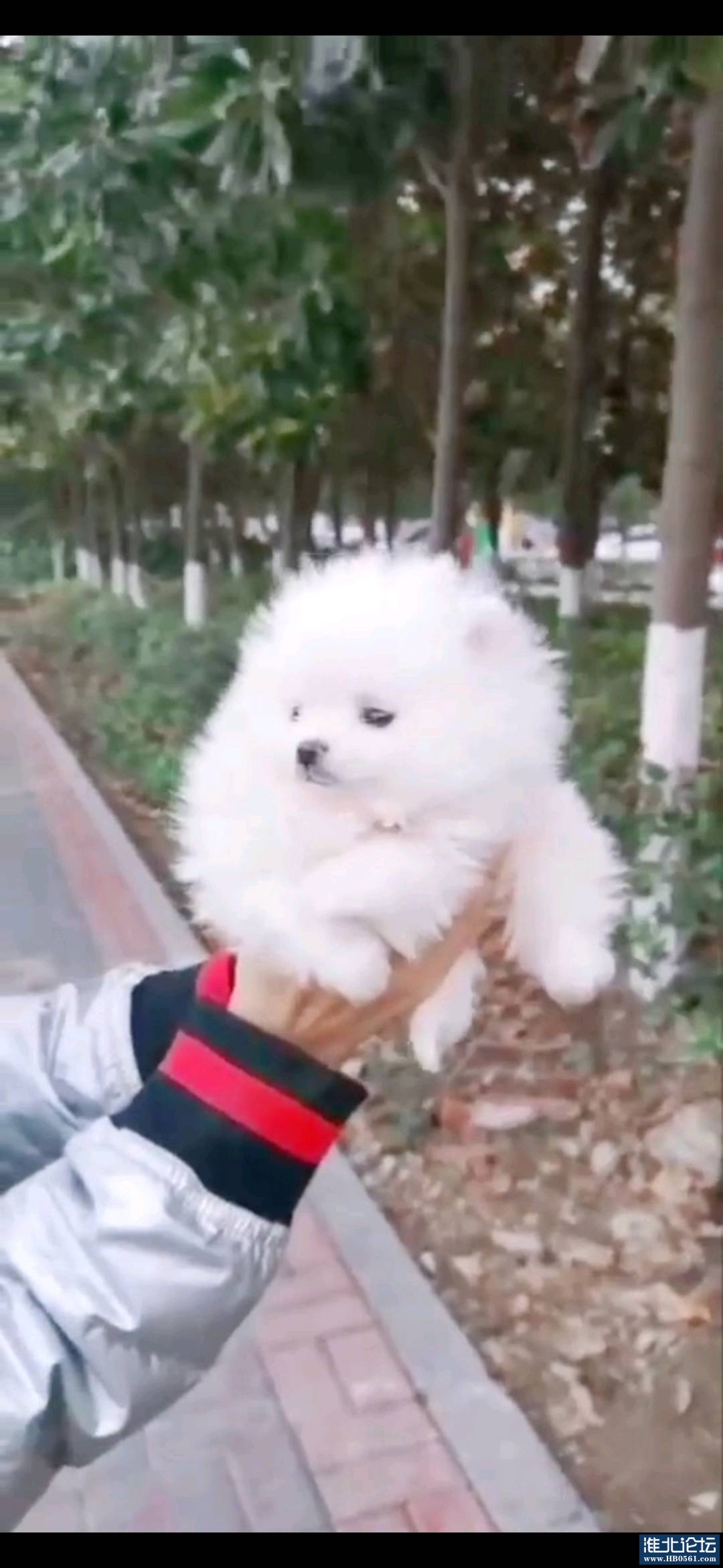 1671509991860_Screenshot_20221220_121826_com.huawei.himovie.jpg
