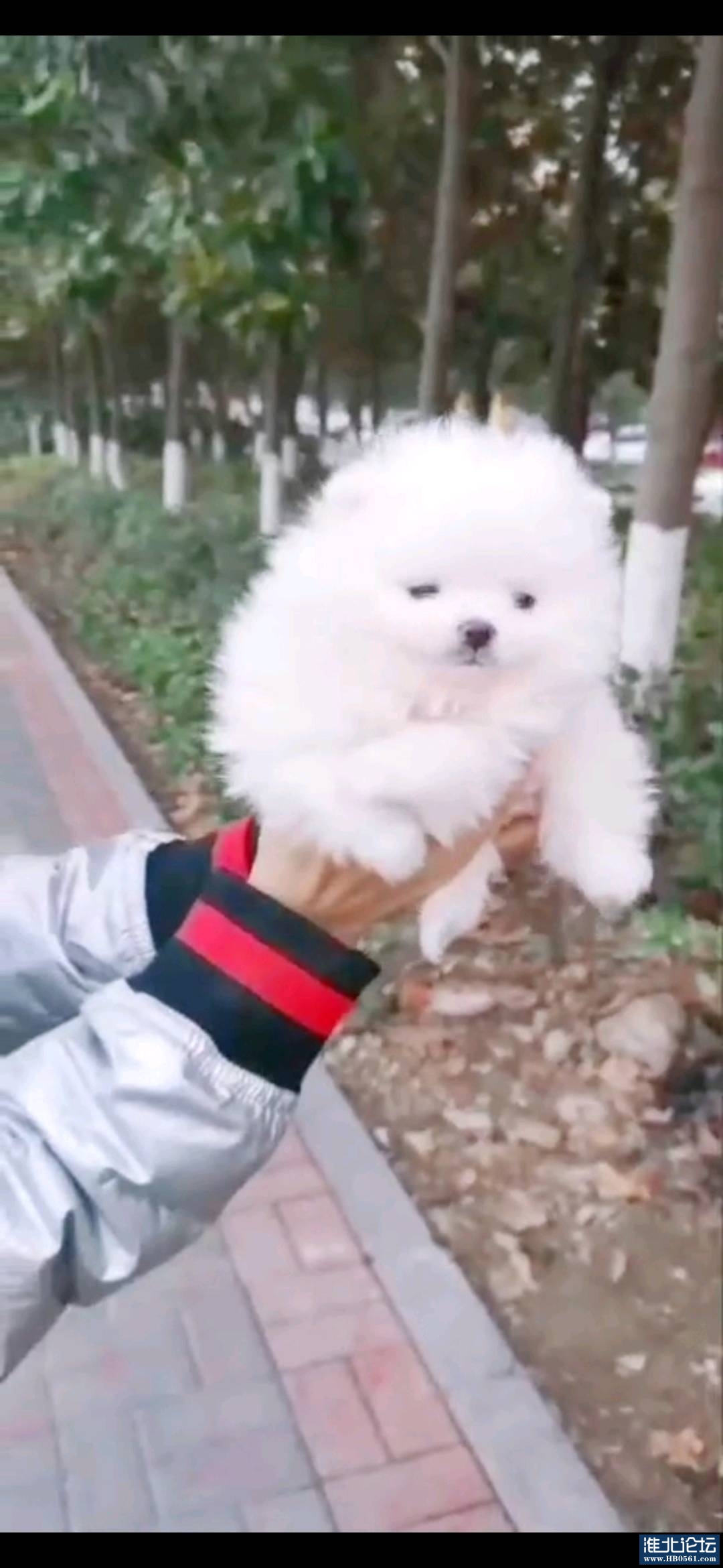 1671509991955_Screenshot_20221220_121824_com.huawei.himovie.jpg