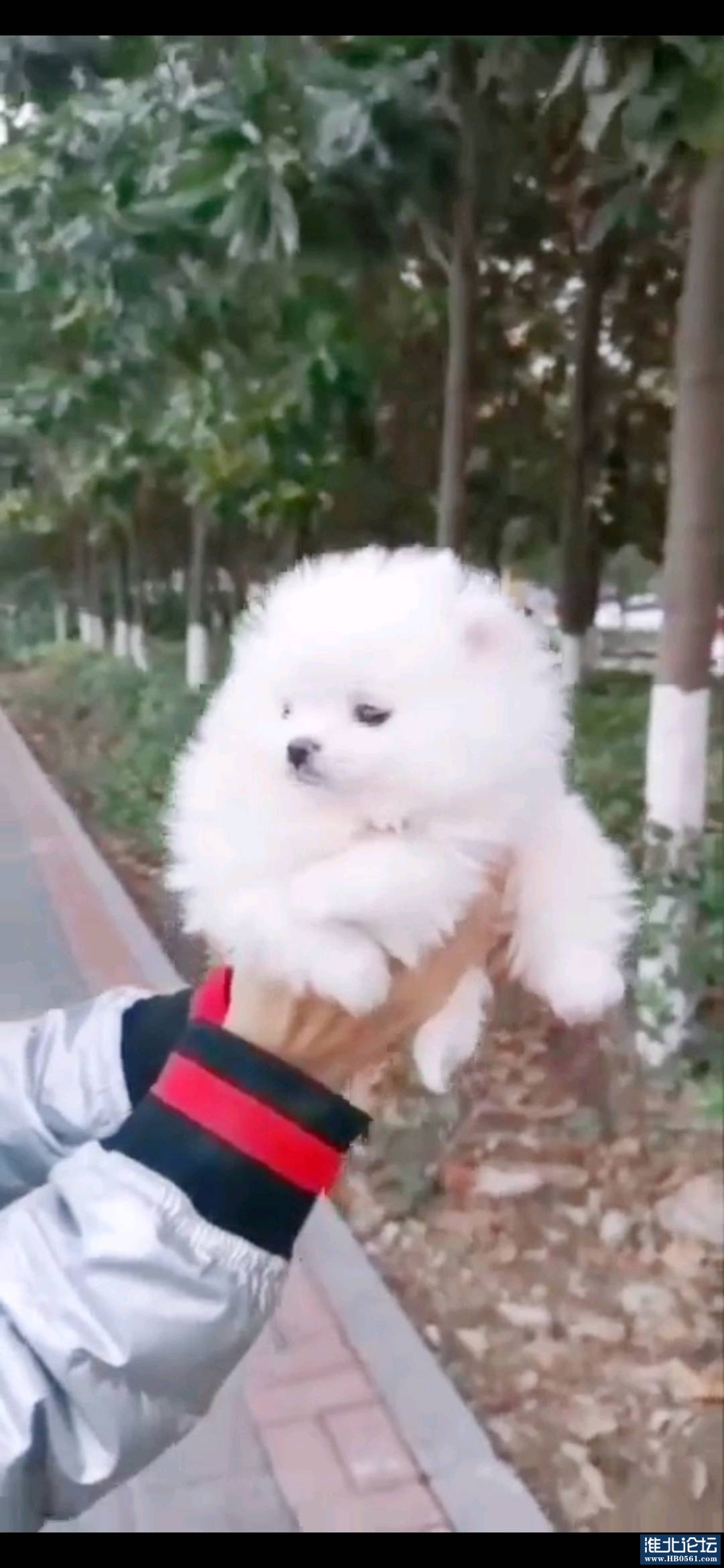 1671509992046_Screenshot_20221220_121806_com.huawei.himovie.jpg