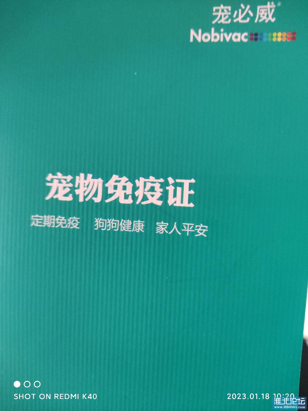 1674008425663.jpg