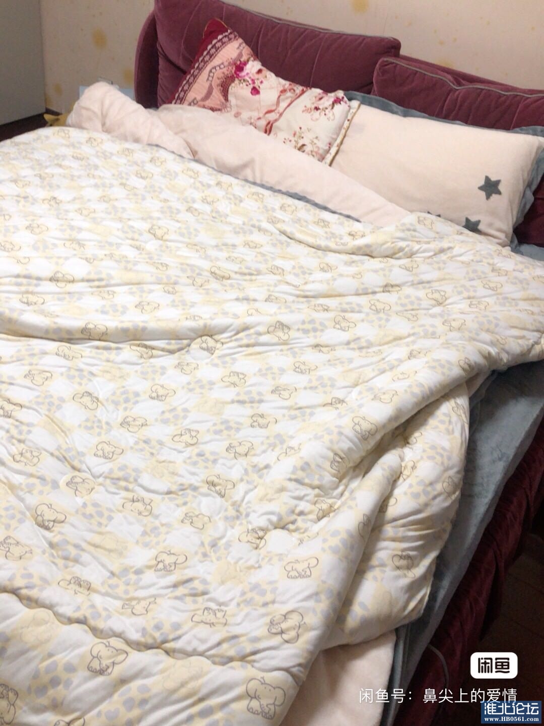 1675593472-compressed-IMG_2788.JPG