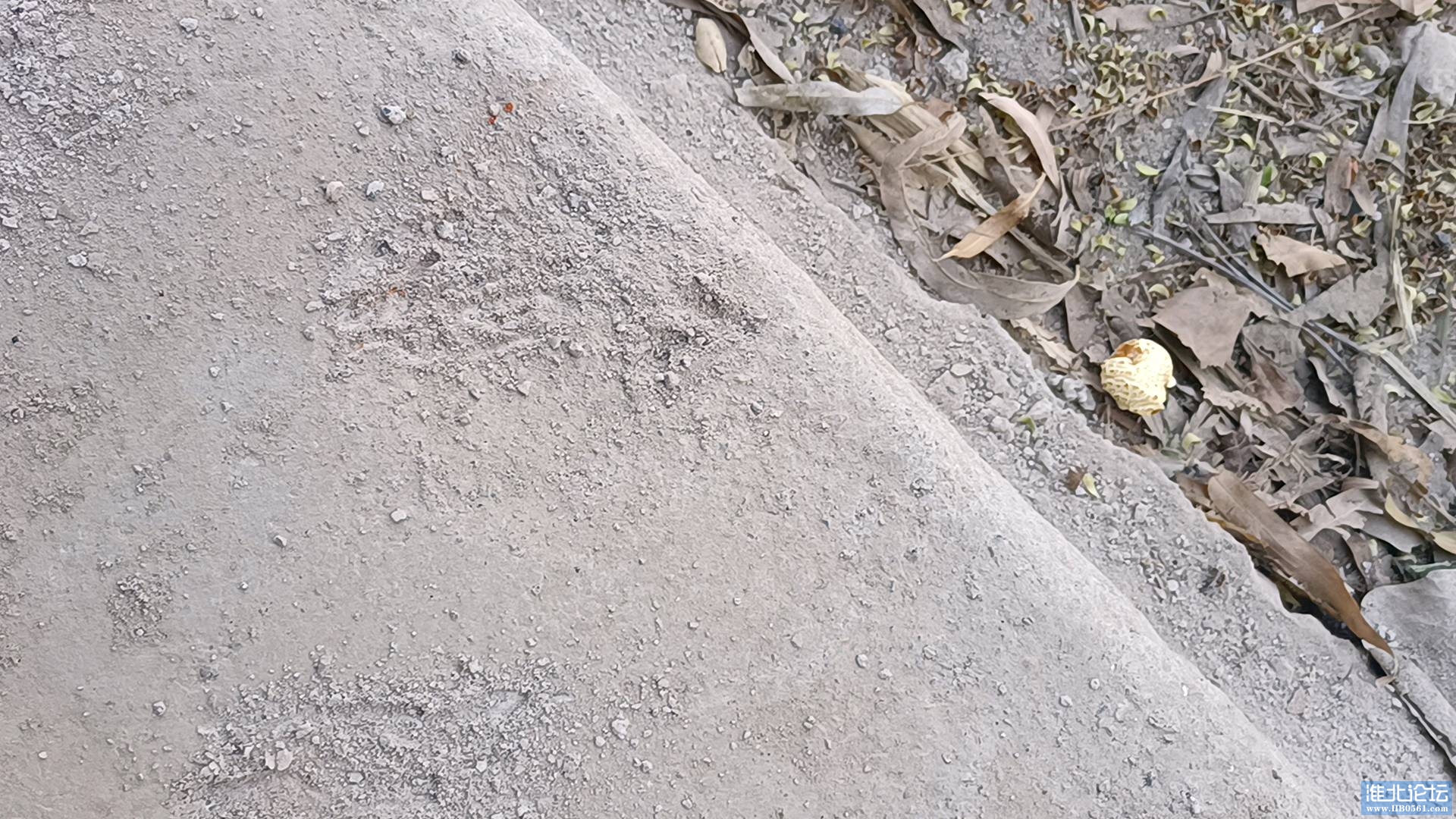 1678254235313_IMG_20230308_101352_1.jpg