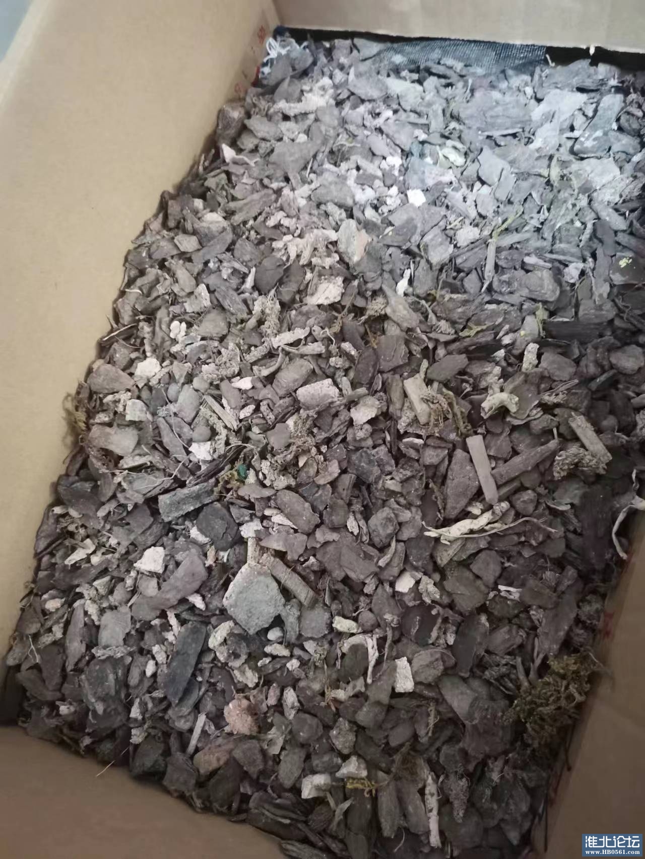 柳树皮+松树皮