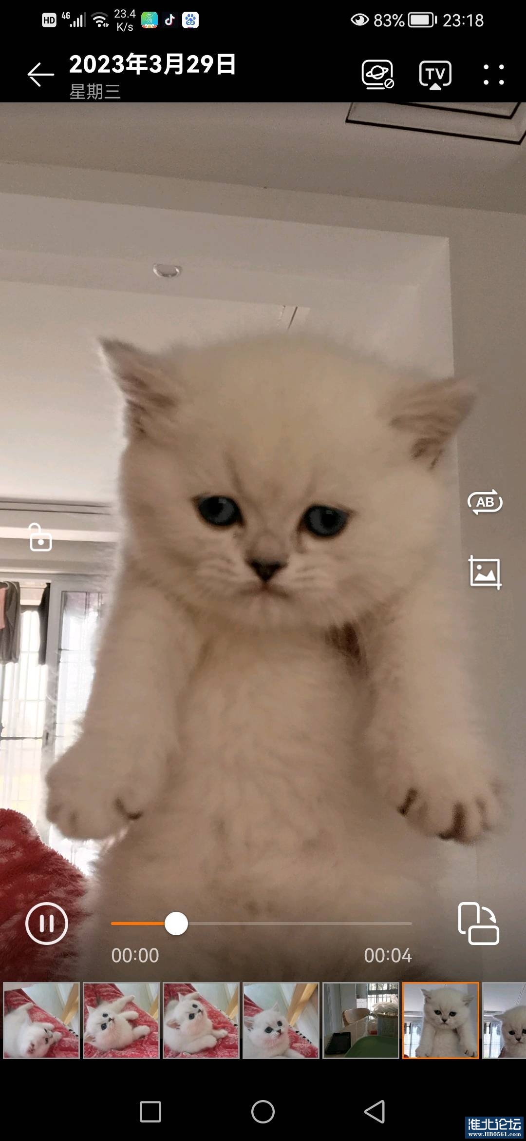 1680265021998_Screenshot_20230329_231822_com.huawei.himovie.jpg