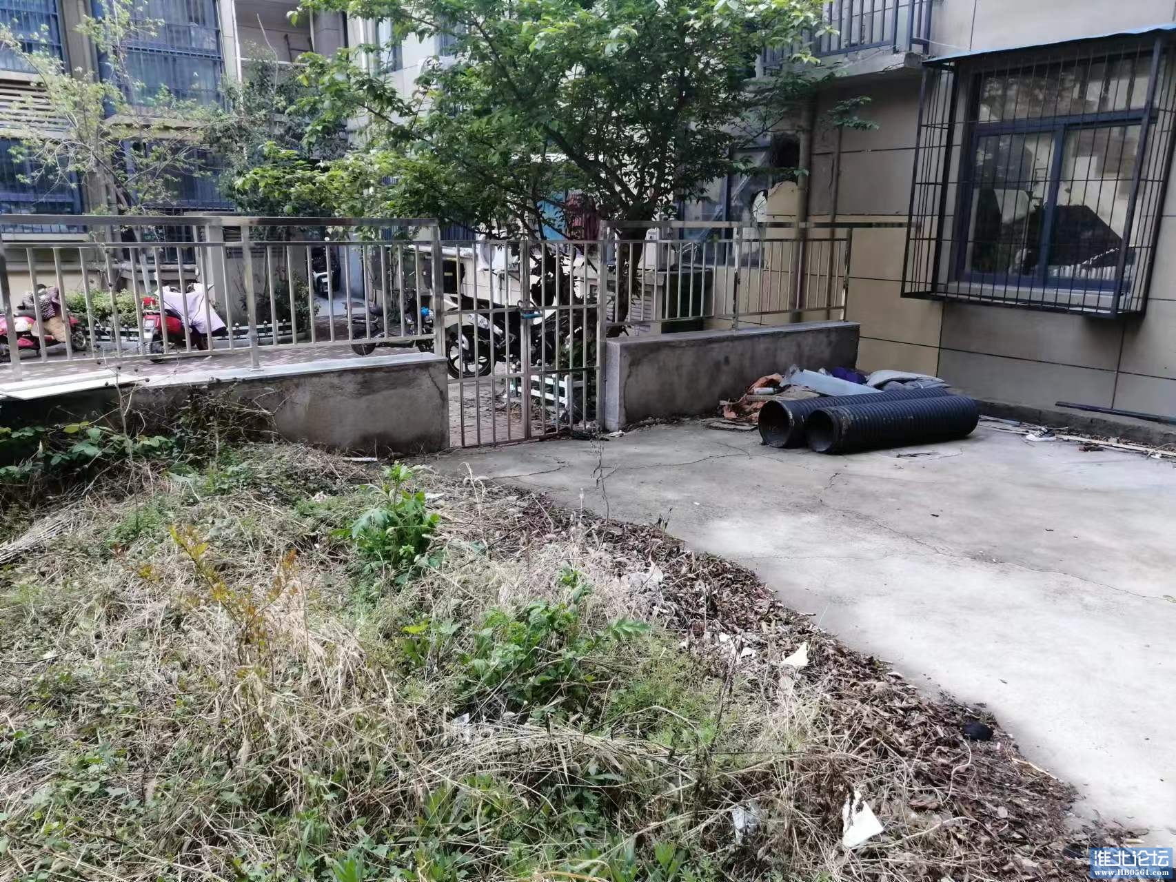 花园