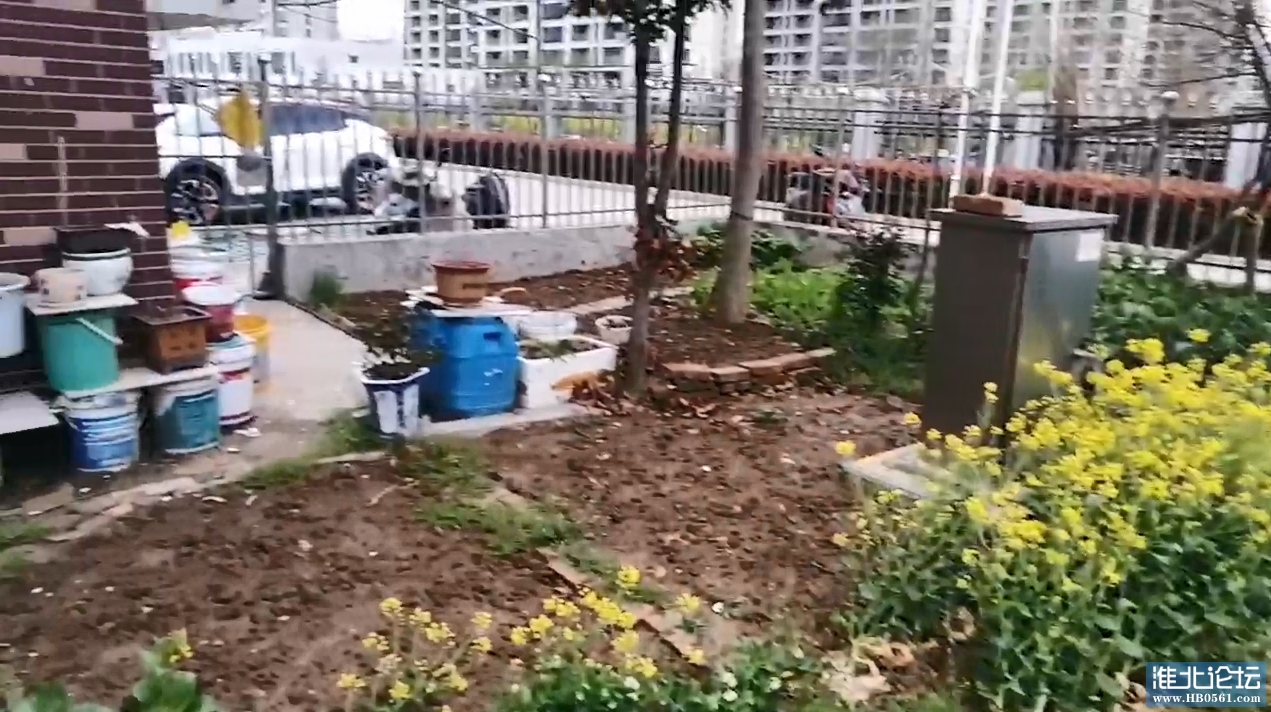 花园