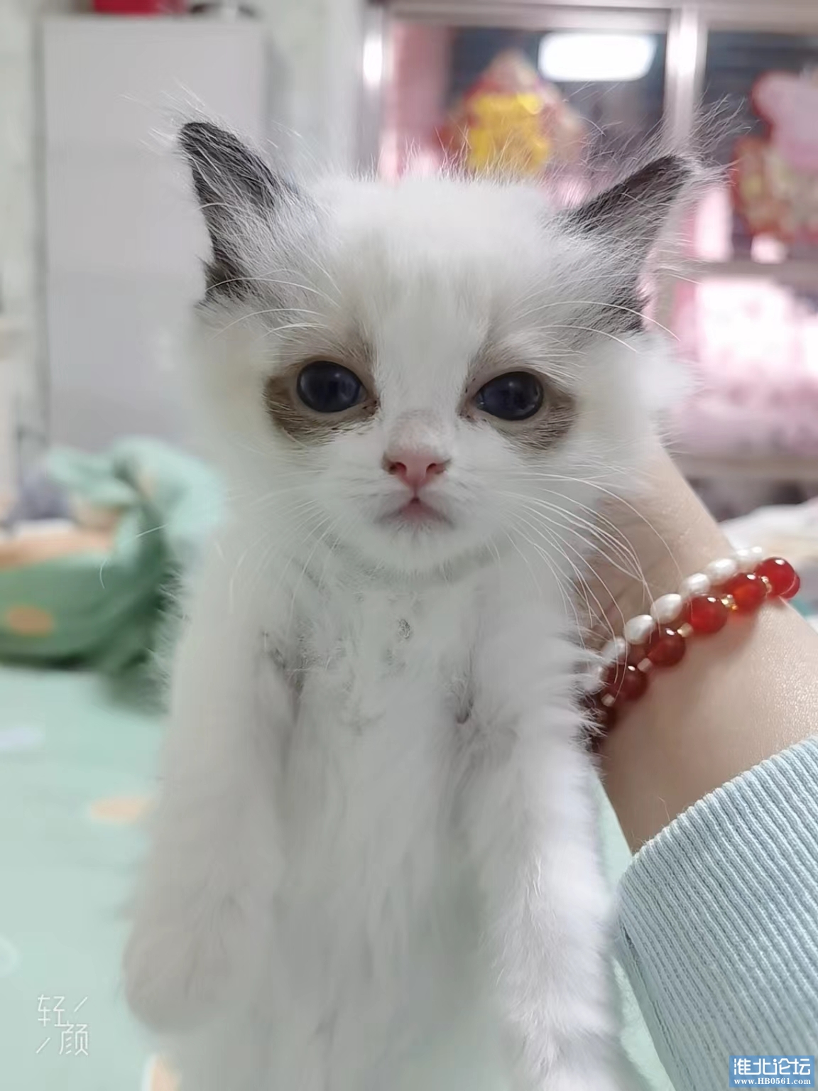 微信图片_20230425160217.jpg