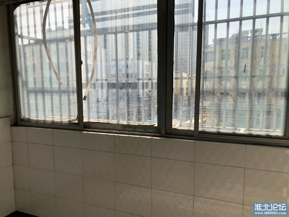 1682471539-compressed-IMG_5087.JPG