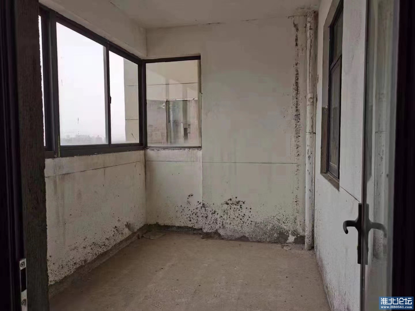 微信图片_20230512090547.jpg