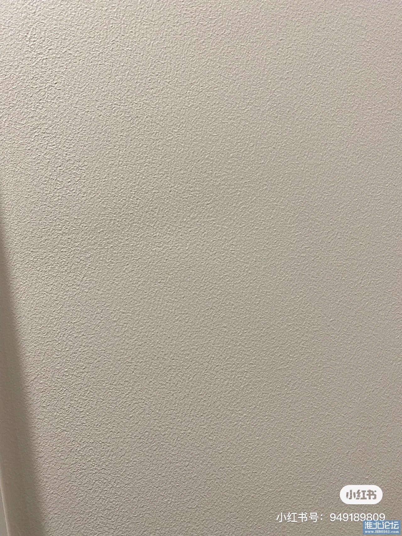 C4F25843-6A56-4AD2-AF78-773EB6656840.jpeg