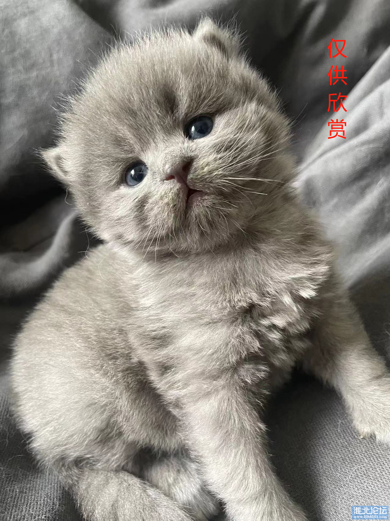 已赠人