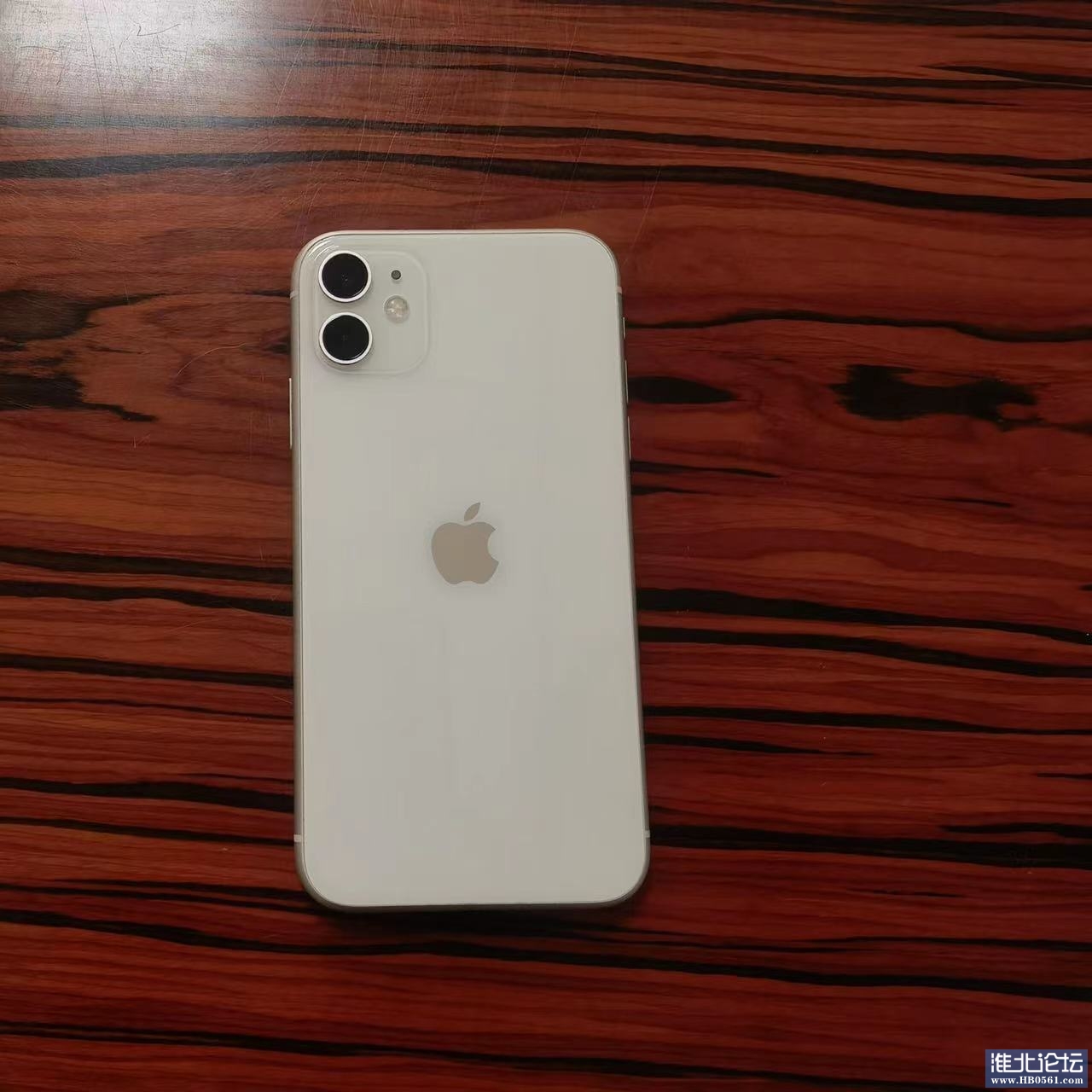微信图片_20230619140329.jpg