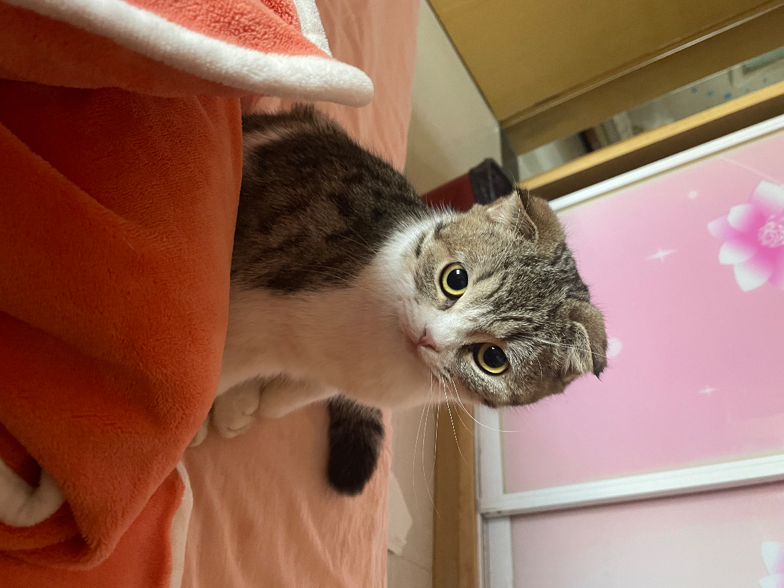 92318071-6C7E-43E4-80FC-00F7E61BC0F0.jpeg