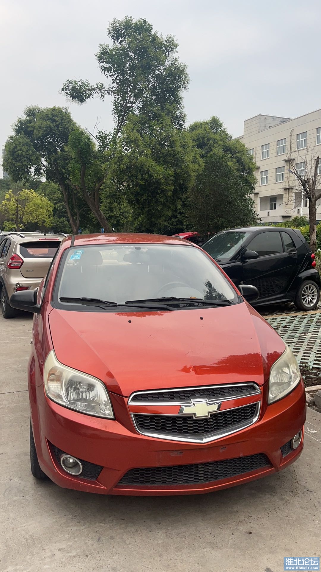 1689238133-compressed-IMG_9264.JPG