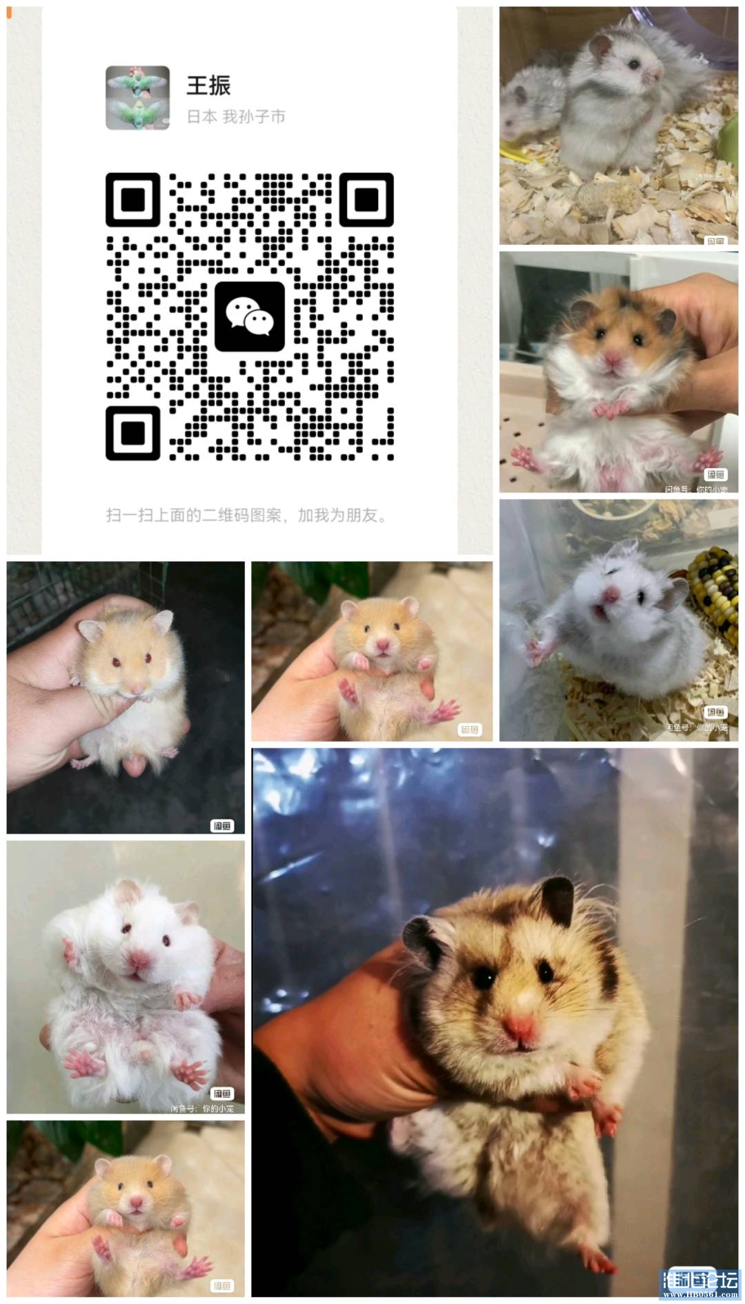 1690549178392_Collage_20230717_105446.jpg