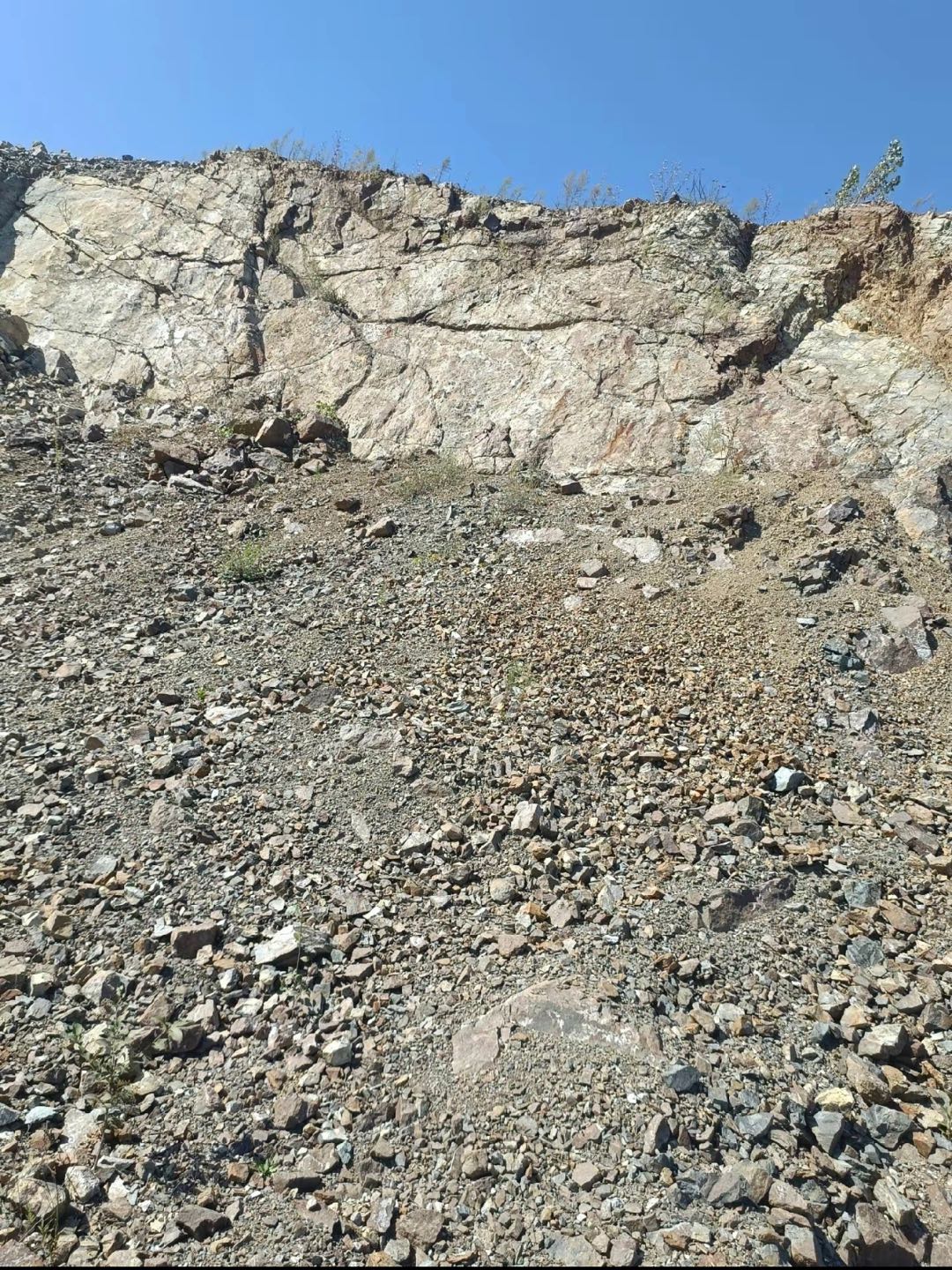 1695006574-compressed-IMG_1772.PNG