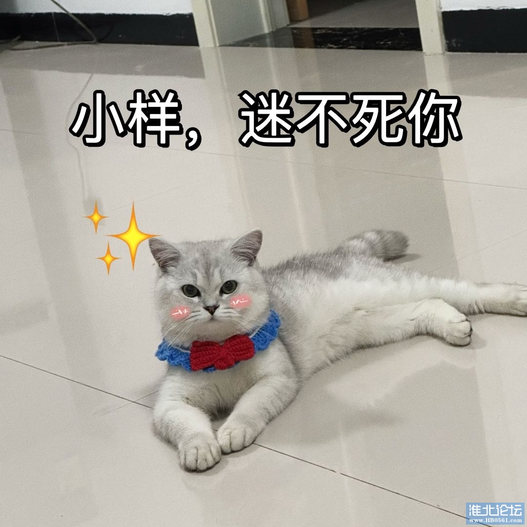 1687447974-compressed-IMG_2031.jpg