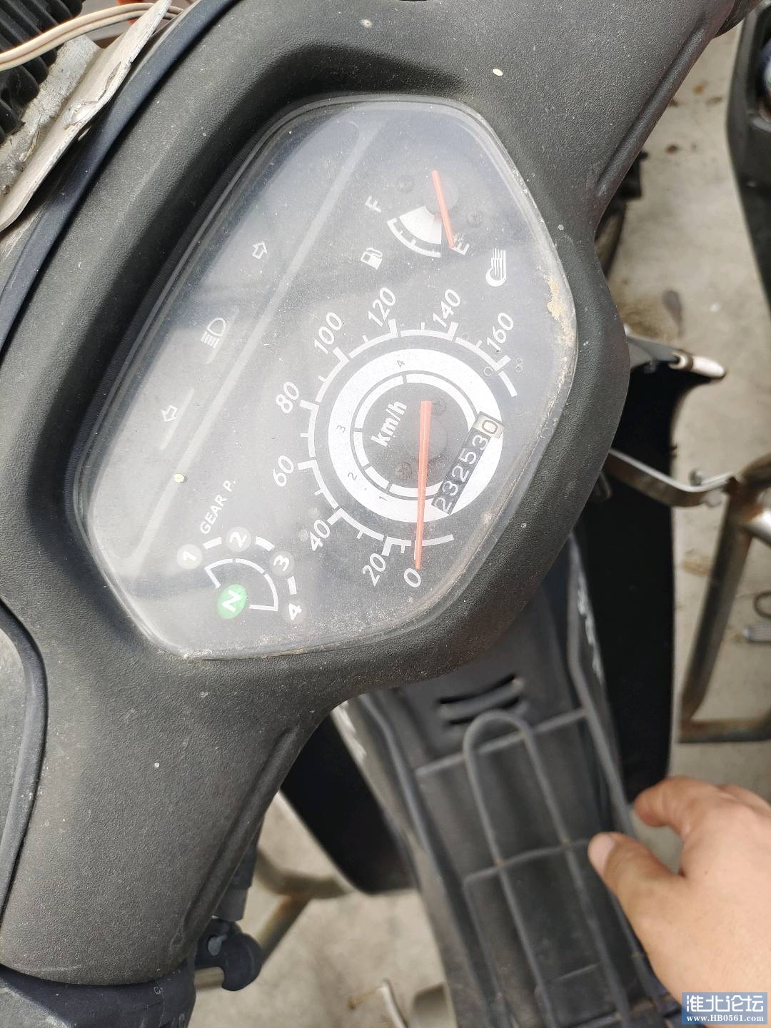1696314445438_IMG_20230930_153649.jpg