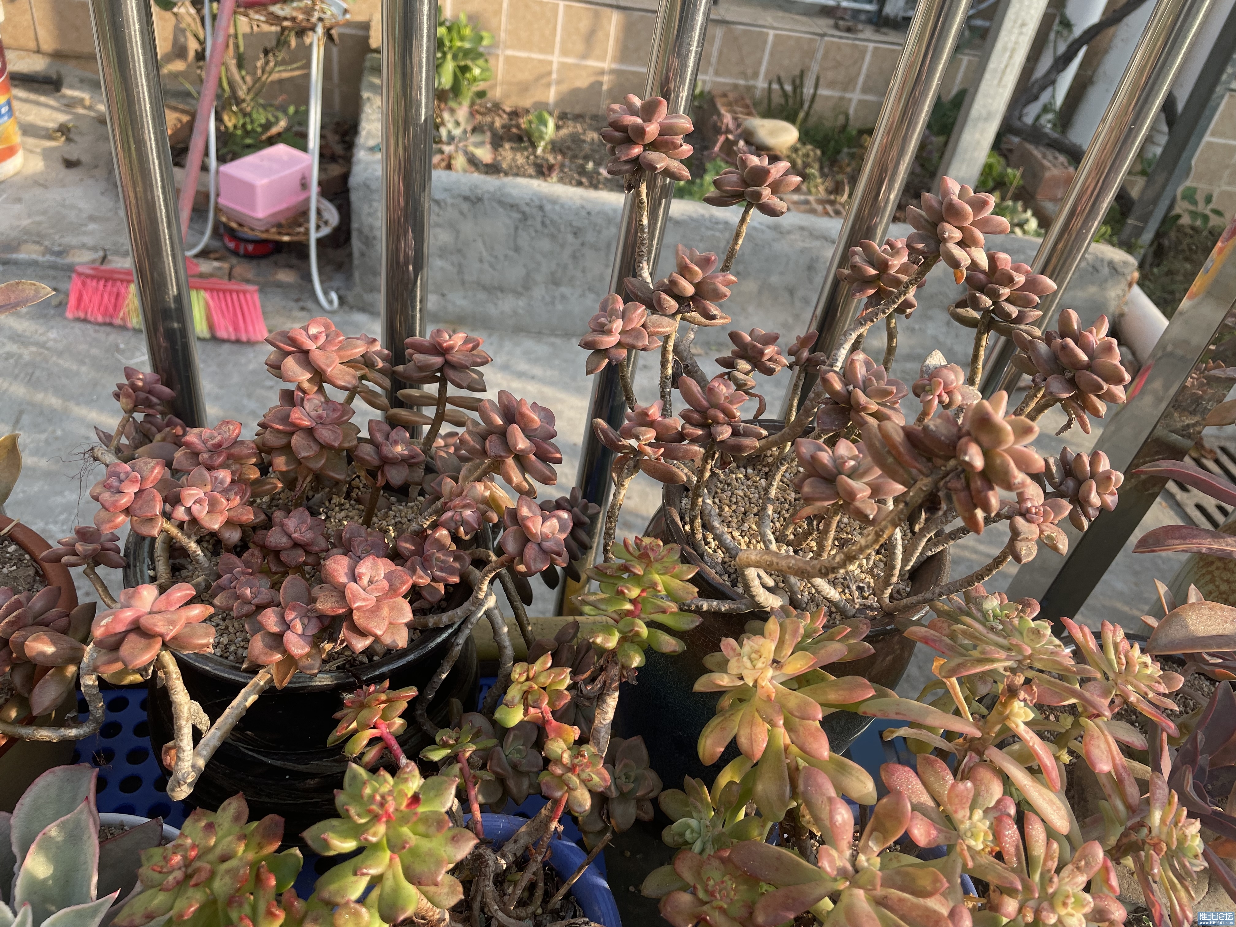 1697414278-origin-IMG_8454.jpg