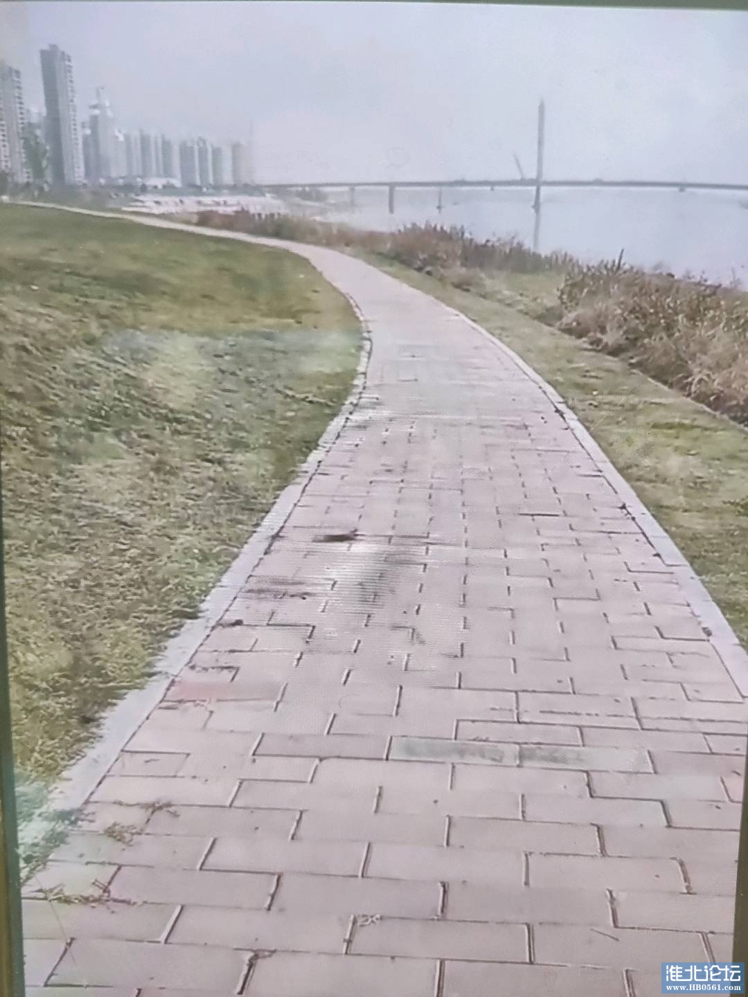 1698297133693.jpg