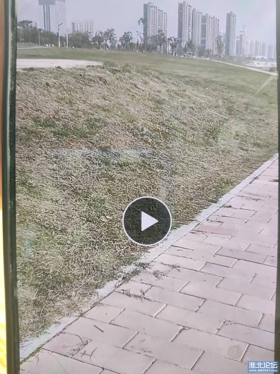 1698297165149.jpg